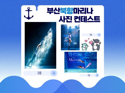 [다이빙풀] 사진 컨테스트 이벤트 종료 자세히보기